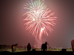 firedisplay-gallery-one