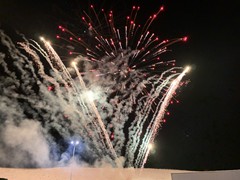 firedisplay-gallery-seven